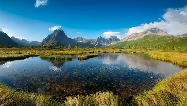 Où découvrir les traditions de la pêche à la langouste au Belize : techniques et visites guidées ?