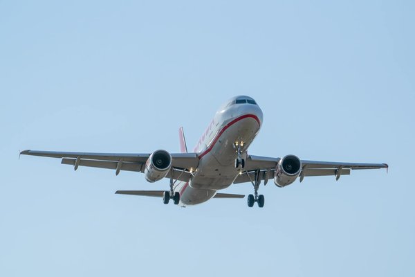 Comment organiser un camping pour observer les baleines en Patagonie?