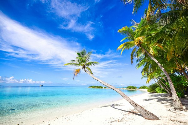 Quels sont les meilleurs circuits pour un safari photo en Afrique du Sud?